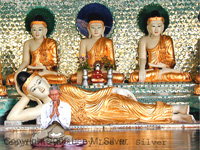 Buddha pray